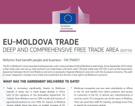 Comerțul UE-Moldova: Zona de Liber Schimb Aprof...