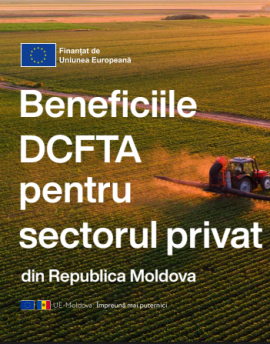 Beneficiile DCFTA pentru sectorul privat