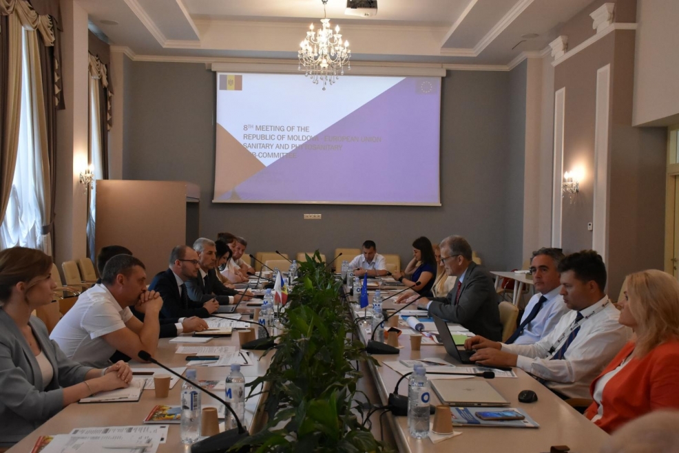 Sub-Comitetul SPS Moldova-Uniunea Europeană s-a întrunit la Chișinău în cadrul celei de-a VIII-a reuniuni